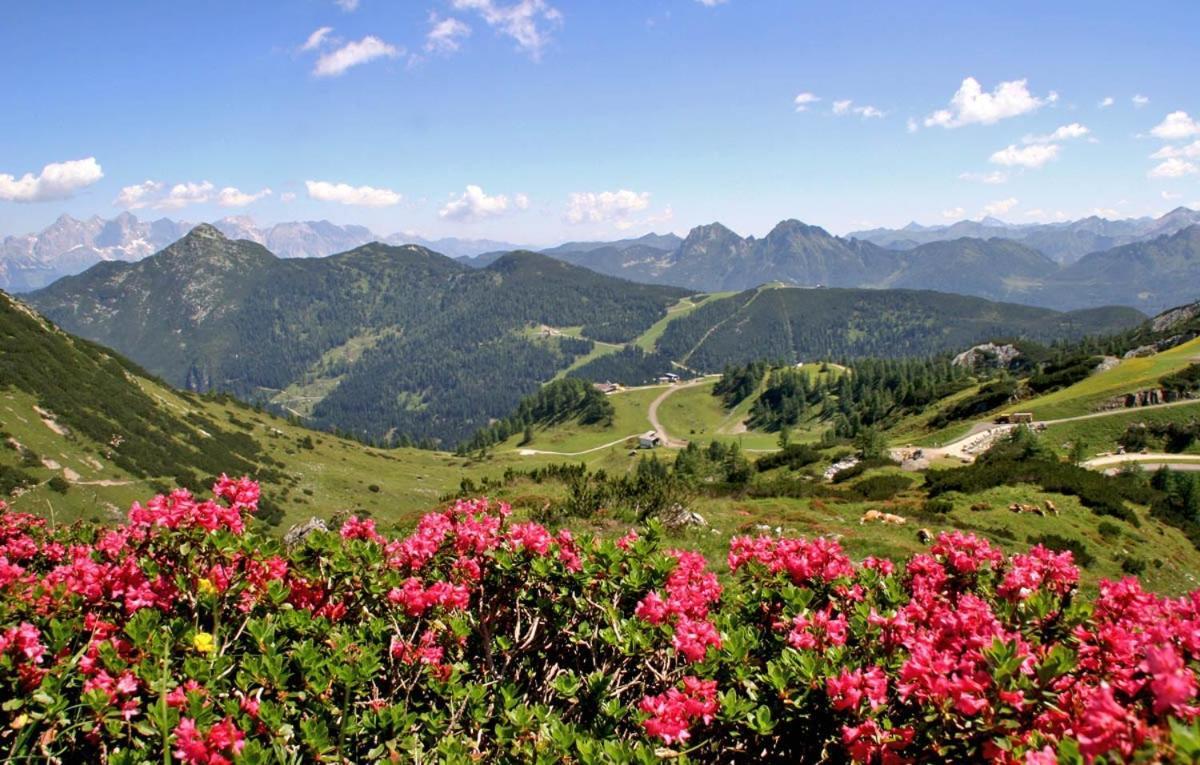 Vorderwiesgut Altenmarkt im Pongau Exteriér fotografie