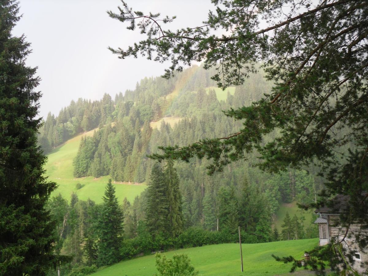 Vorderwiesgut Altenmarkt im Pongau Exteriér fotografie