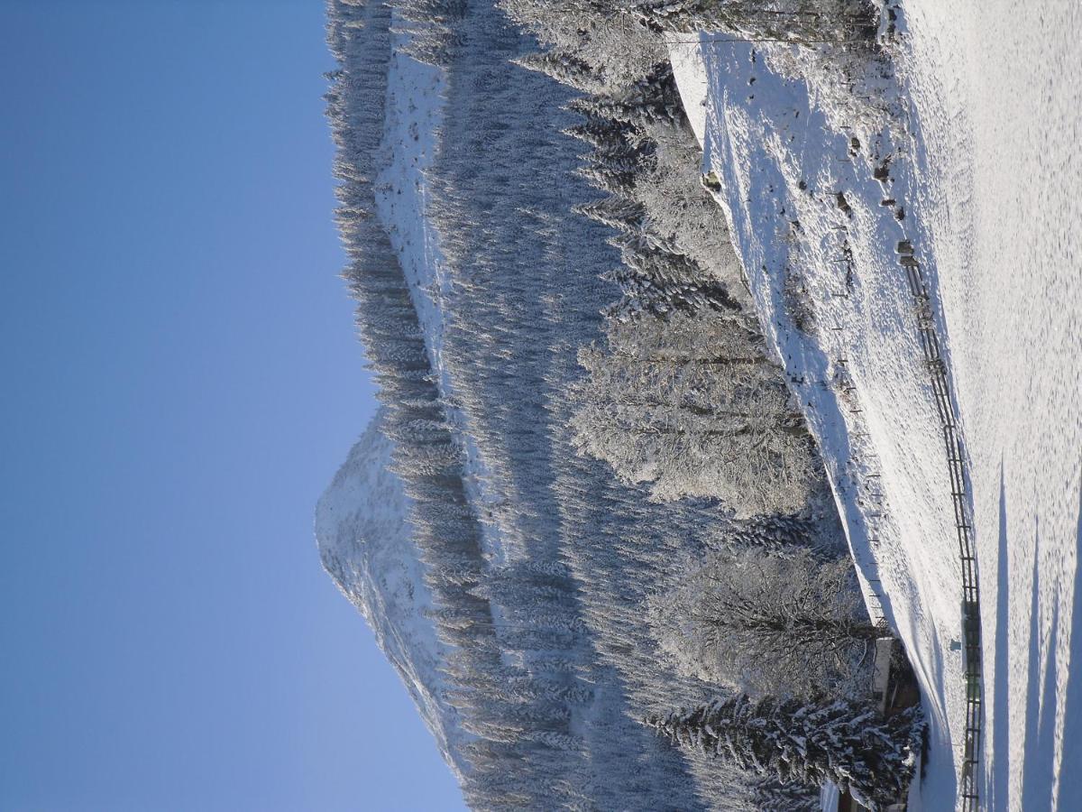 Vorderwiesgut Altenmarkt im Pongau Exteriér fotografie